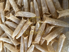 DRIED FISHMAW_ARROW SHAPE